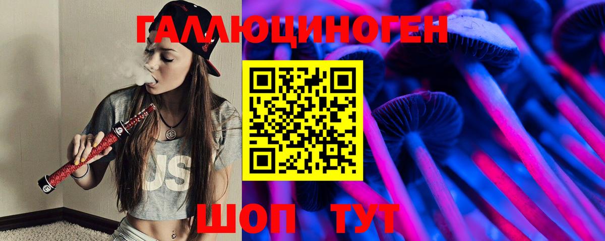 Псилоцибиновые грибы Psilocybe  Вход с VPN  Нижнекамск 