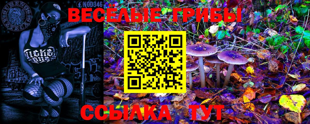Галлюциногенные грибы MAGIC MUSHROOMS Нижнекамск